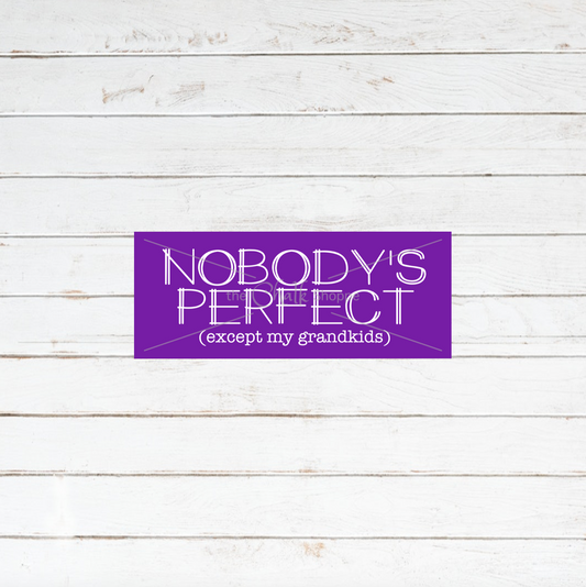 Nobody's Perfect Silkscreen Stencil